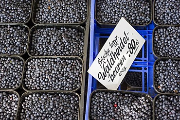 Fresh wild blueberries, stall on the Viktualienmarkt food market, Munich, Bavaria, Germany, Europe