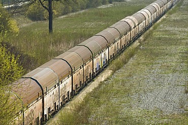 Old wagons on a siding, some are covered with graffiti