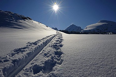 Ski tracks and mountain peaks, backlit, Wildhaus, Appenzell district, Canton of St. Gallen, Switzerland, Europe