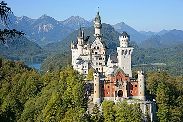 Schloss Neuschwanstein Castle, Allgau, Bavaria, Germany, Europe