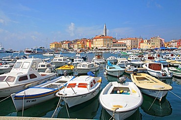 Rovinj, Istria, Adriatic Coast, Croatia, Europe