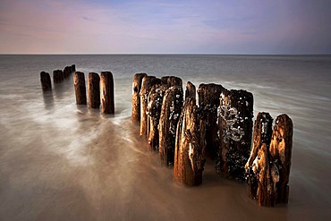 Groynes at Kampen, Sylt Island, Germany, Europe