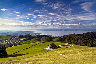 Spring landscape on Mt. Gupf with a view to Lake Constance, Rorschacherberg, Lake Constance, Switzerland, Europe