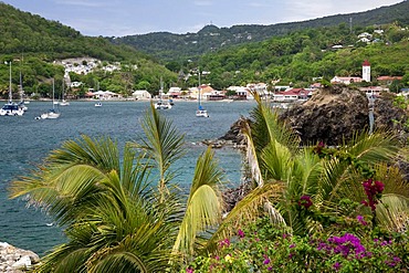 Deshaies, north-west coast of Basse-Terre, Guadeloupe, French Antilles, Lesser Antilles, Caribbean