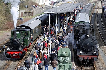 Dampfspektakel 2010 steam train show at Gerolstein station, Prussian engine T11-Hannover 7512, left, and steam engine 2455 Posen, right, Gerolstein, Rhineland-Palatinate, Germany, Europe