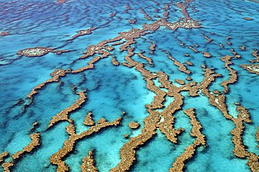 Reefs and atolls of the Great Barrier Reef, Australia