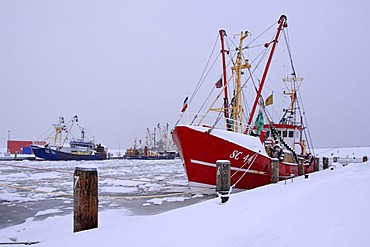 Fishing boats in the frozen harbour of Buesum in winter with snow on the North Sea coast, Dithmarschen district, Schleswig-Holstein, Germany, Europe