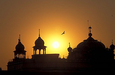 Domes of the Golden Temple, shrine of the Sikh, sunset, Amritsar, India, Asia