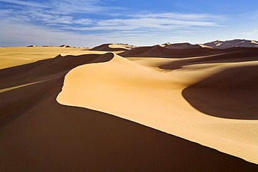 Sand dunes of the Libyan desert, Erg Murzuq, Libya, Sahara, North Africa, Africa