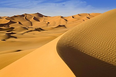 Sand dunes in the Libyan desert, Sahara, Libya, North Africa, Africa