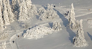 Aerial view, Mt. Kahler Asten, snow-covered pines, walkers, snow, winter, Winterberg, North Rhine-Westphalia, Germany, Europe