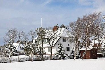 Snowy Frisian houses in Wyk-Greveling, North Sea island of Foehr, North Frisian islands, Schleswig-Holstein, northern Germany, Europe