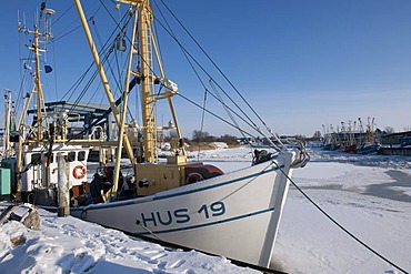 Frozen outer harbour with shrimp boats, Husum, North Sea, North Frisia, Schleswig Holstein, northern Germany, Europe