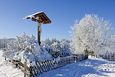 Crucifix, trees, frost, Stadlberg near Miesbach, Upper Bavaria, Bavaria, Germany, Europe