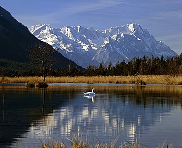 Seven Springs ("Sieben Quellen"), alpine moorland and mountain landscape near Eschenlohe, Loisach Valley, Wetterstein Range, Upper Bavaria, Bavaria, Germany, Europe