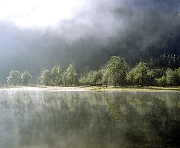 Morning fog at Lake Mittersee near Ruhpolding, Chiemgau, Upper Bavaria, Germany