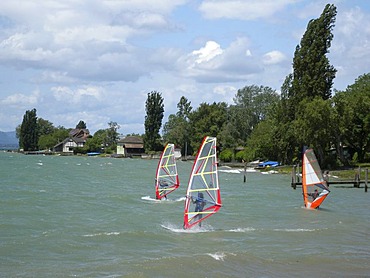 Windsurfers, Reichenau island, Lake Constance, Baden-Wuerttemberg, Germany, Europe