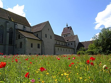 Meadow, St. Maria and Markus Cathedral, Unesco World Heritage Site, Mittelzell, Reichenau island, Lake Constance, Baden-Wuerttemberg, Germany, Europe