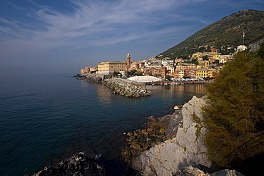 Bogliasco, Liguria, Italy, Europe