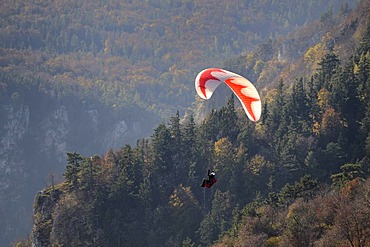 Paraglider from the Skywalk, Hohe Wand, Lower Austria, Austria, Europe