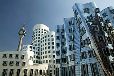 Neuer Zollhof buildings by Frank Gehry, Dusseldorf, North Rhine-Westphalia, Germany, Europe