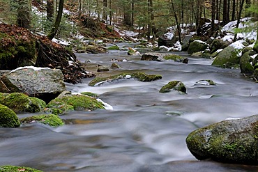 Flowing movement, snow, ice, Kleine Ohe mountain stream, Nationalpark Bayrischer Wald Bavarian Forest National Park, Bavaria, Germany, Europe