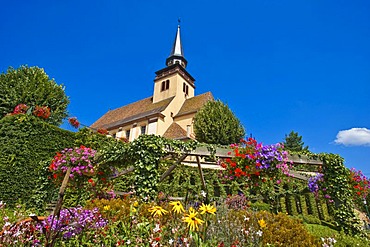 Eglise Catholique Paroisse Sainte Trinite, Catholic Trinity Church, Lauterbourg, Alsace, France, Europe