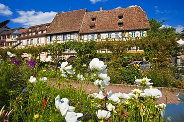 Quai Anselmann, Wissembourg, Vosges du Nord nature park, Vosges mountains, Alsace, France, Europe