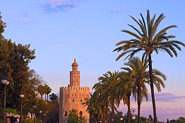 Torre del Oro, Sevilla, Andalusia, Spain, Europe