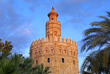 Torre del Oro, Sevilla, Andalusia, Spain, Europe