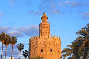 Torre del Oro, Sevilla, Andalusia, Spain, Europe