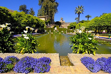 The gardens of Alcazar de los Reyes Cristianos, Alcazar of Catholic Kings, Cordoba, Andalusia, Spain, Europe