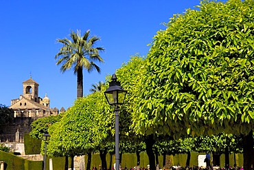 The gardens of Alcazar de los Reyes Cristianos, Alcazar of Catholic Kings, Cordoba, Andalusia, Spain, Europe