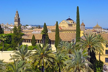 Alcazar de los Reyes Cristianos, Alcazar of Catholic Kings, and minaret tower of the Great Mosque, Cordoba, Andalusia, Spain, Europe