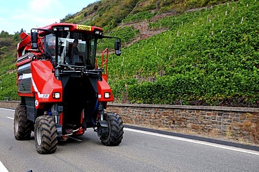 Harvestmachine on the way to next vineyard in Moselle valley, Rhineland-Palatinate, Germany, Europe