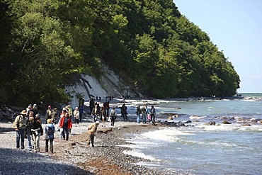 Cliffs, chalk coast, Baltic Sea coast on the Jasmund peninsula, Nationalpark Jasmund national park, northeast of the Ruegen island, Mecklenburg-Western Pomerania, Germany, Europe