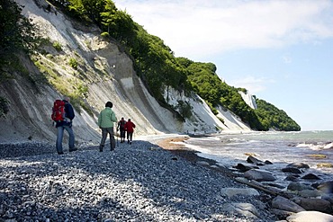 Cliffs, chalk coast, Baltic Sea coast on the Jasmund peninsula, Nationalpark Jasmund national park, northeast of the Ruegen island, Mecklenburg-Western Pomerania, Germany, Europe