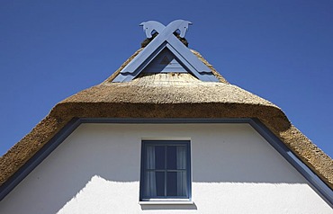 Gable of a summer cottage, near Mukran, thatched cottage, northeast of the Ruegen island, Mecklenburg-Western Pomerania, Germany, Europe