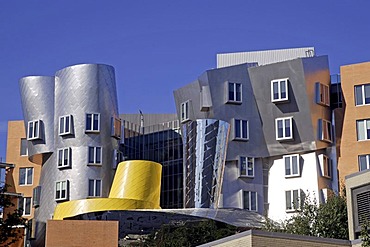 Ray and Maria Stata Center, architect Frank Gehry, MIT, Massachusetts Institute of Technology, Cambridge, New England, USA