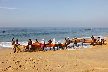 Fishermen washing a net, beach south of Kovalam, Malabar Coast, Malabar, Kerala, southern India, India, Asia