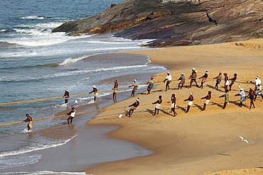 Fishermen pulling in a net, beach south of Kovalam, Malabar Coast, Malabar, Kerala, southern India, India, Asia