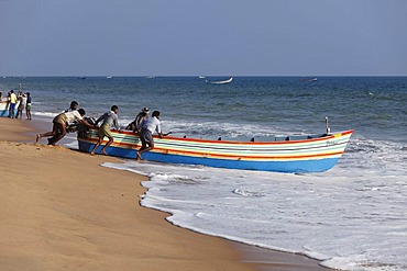 Fishermen pushing their fishing boat into the sea, Somatheeram Beach, Malabarian Coast, Malabar, Kerala state, India, Asia