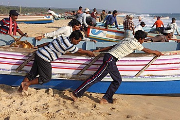 Fishermen pushing their fishing boat into the sea, Somatheeram Beach, Malabarian Coast, Malabar, Kerala state, India, Asia