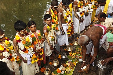 Thaipusam festival in Tenkasi, Tamil Nadu, Tamilnadu, South India, India, Asia