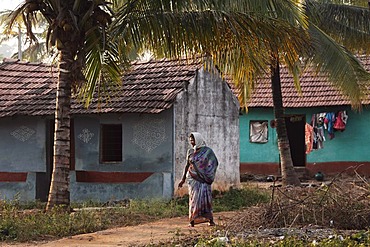 Village in Coorg, Karnataka, South India, India, South Asia, Asia