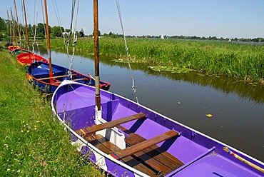 Colorful boats in the canal, landscape between Gouda, Oudewater and Reeuwijk, Reeuwijkse Plassen, Zuid-Holland, South Holland, the Netherlands, Europe