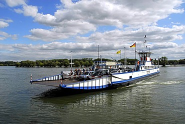 Rhine ferry between Mittelheim and Ingelheim, Oestrich-Winkel, Rheingau, Hesse, Germany, Europe