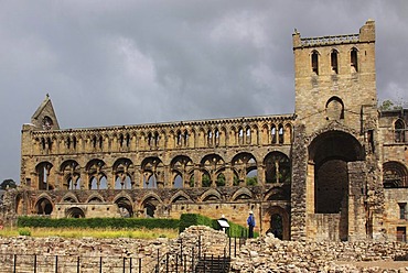 Ruins of the Augustinian abbey of Jedburgh, Scottish Borders, Scotland, United Kingdom, Europe