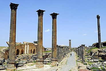 Alley with columns, excavation site in the Roman ruins of Bosra, Syria, Asia