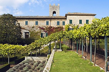 Castle park of a winery, Badia di Coltibuono, Chianti, Tuscany, Italy, Europe